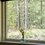 Σπίτι διακοπών Oh491-hadsund-vidjeparken-159 *